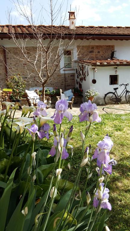 Il Colle Calci Villa Exterior photo