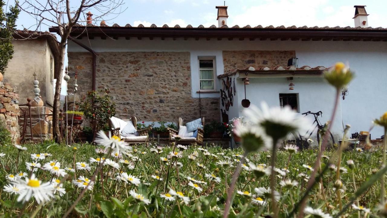 Il Colle Calci Villa Exterior photo