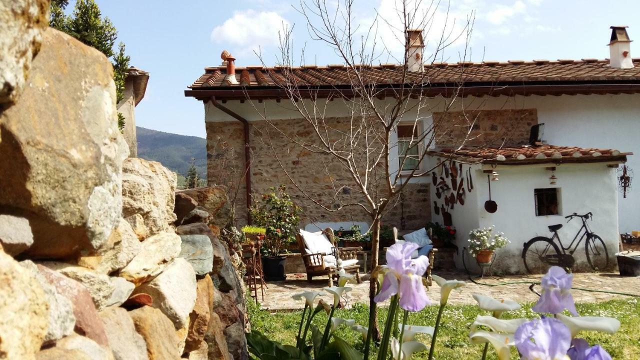 Il Colle Calci Villa Exterior photo